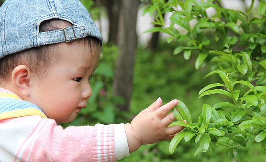 好聽(tīng)又經(jīng)典的男孩名字,男孩取名字大全