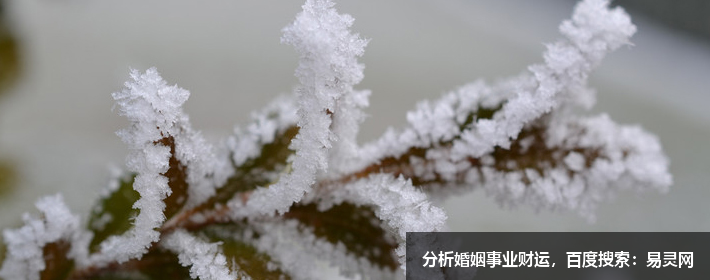 小飯店起名大全 最新